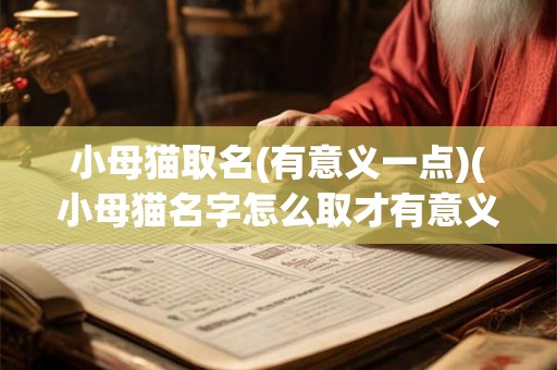 小母猫取名(有意义一点)(小母猫名字怎么取才有意义?) 小母猫取名(有意义一点)(小母猫名字怎么取才有意义?)