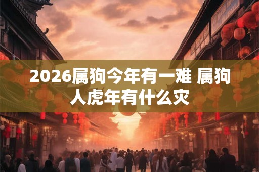 2026属狗今年有一难 属狗人虎年有什么灾