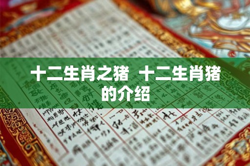 十二生肖之猪  十二生肖猪的介绍