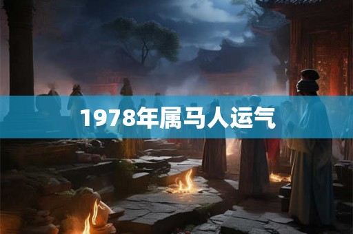 1978年属马人运气