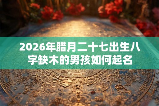 2026年腊月二十七出生八字缺木的男孩如何起名