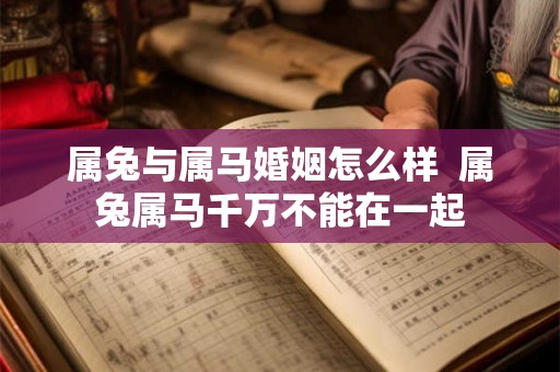 属兔与属马婚姻怎么样 属兔属马千万不能在一起 属兔与属马婚姻怎么样 属兔属马千万不能在一起
