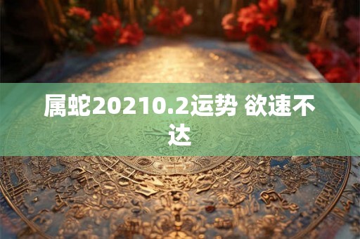 属蛇20210.2运势 欲速不达