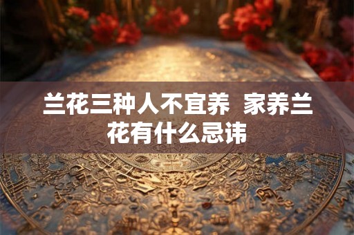 兰花三种人不宜养  家养兰花有什么忌讳