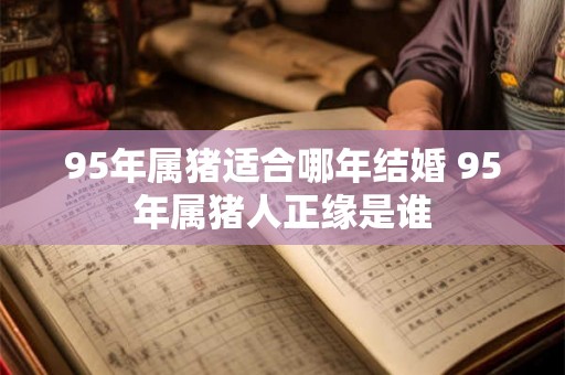 95年属猪适合哪年结婚 95年属猪人正缘是谁