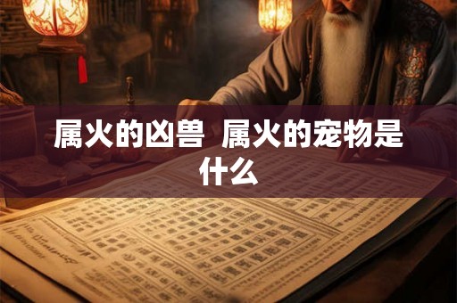 属火的凶兽  属火的宠物是什么