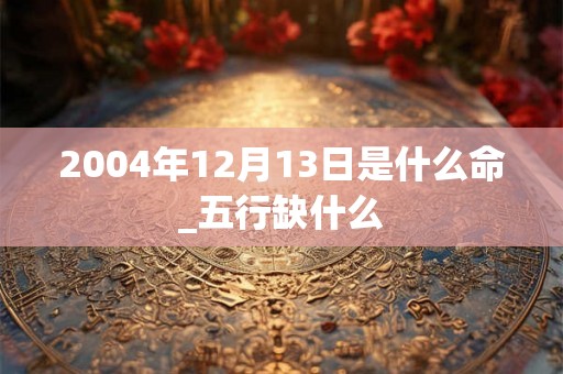 2004年12月13日是什么命_五行缺什么