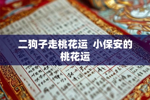 二狗子走桃花运 小保安的桃花运 二狗子走桃花运 小保安的桃花运