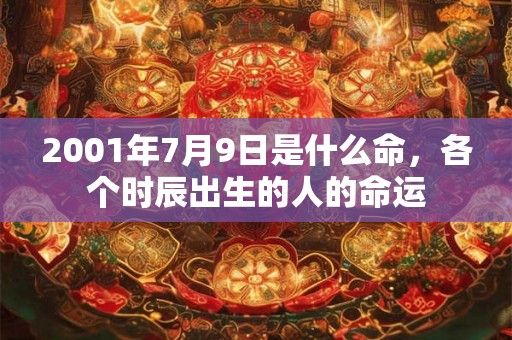 2001年7月9日是什么命，各个时辰出生的人的命运