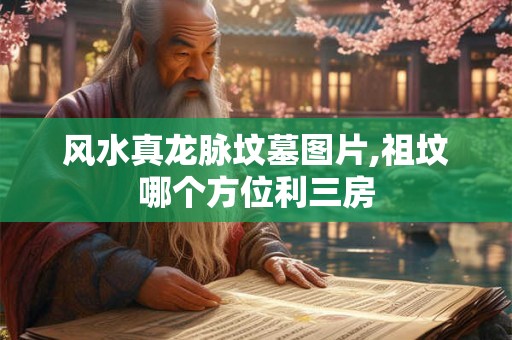 风水真龙脉坟墓图片,祖坟哪个方位利三房