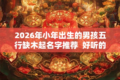 2026年小年出生的男孩五行缺木起名字推荐 好听的 2026年小年出生的男孩五行缺木起名字推荐 好听的