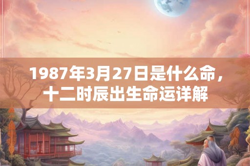 1987年3月27日是什么命，十二时辰出生命运详解