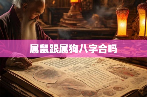 属鼠跟属狗八字合吗