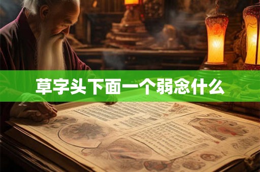 草字头下面一个弱念什么 草字头下面一个弱念什么