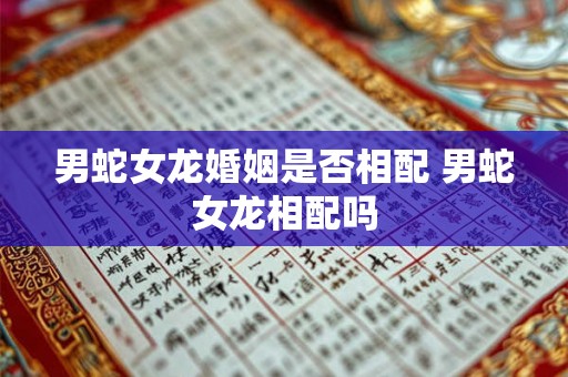 男蛇女龙婚姻是否相配 男蛇女龙相配吗