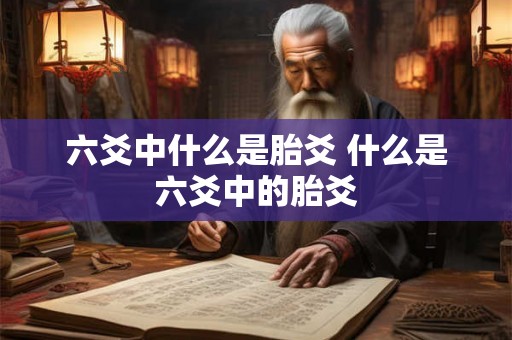 六爻中什么是胎爻 什么是六爻中的胎爻 六爻中什么是胎爻 什么是六爻中的胎爻