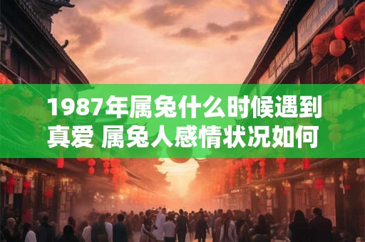 1987年属兔什么时候遇到真爱 属兔人感情状况如何