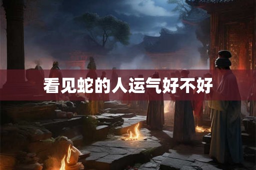 看见蛇的人运气好不好