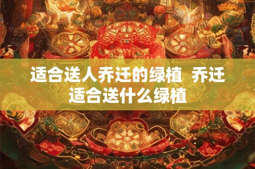 适合送人乔迁的绿植  乔迁适合送什么绿植