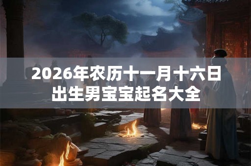 2026年农历十一月十六日出生男宝宝起名大全