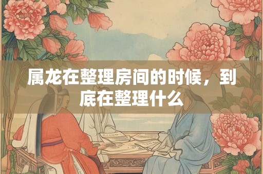 属龙在整理房间的时候，到底在整理什么