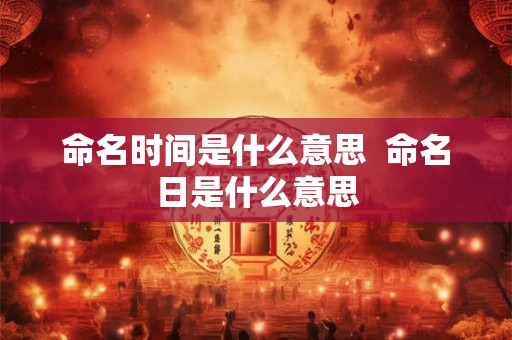命名时间是什么意思  命名日是什么意思