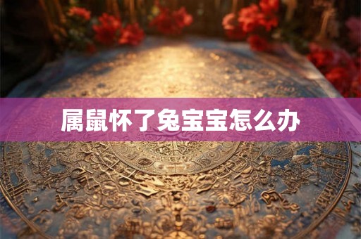 属鼠怀了兔宝宝怎么办