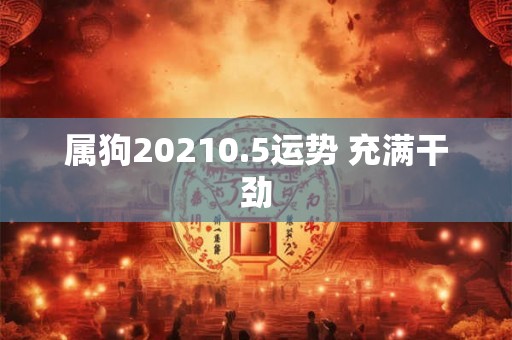 属狗20210.5运势 充满干劲