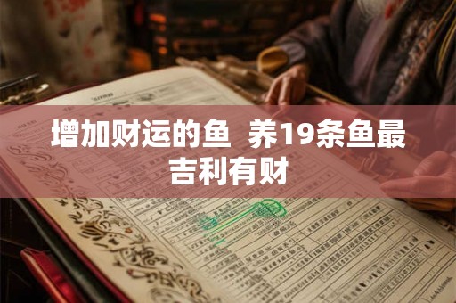 增加财运的鱼  养19条鱼最吉利有财