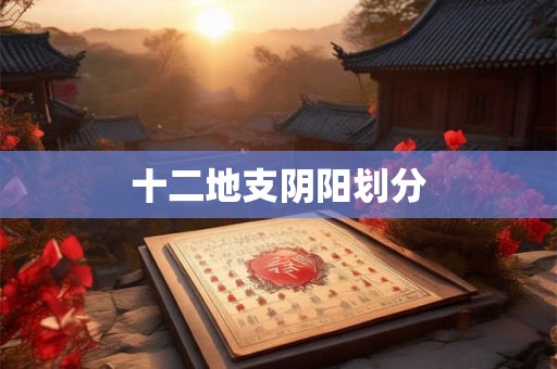 十二地支阴阳划分