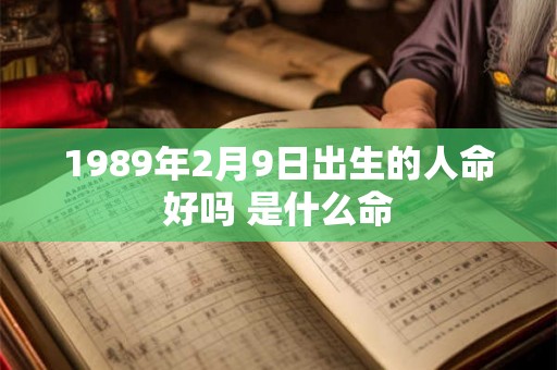 1989年2月9日出生的人命好吗 是什么命