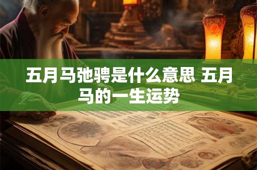 五月马弛骋是什么意思 五月马的一生运势