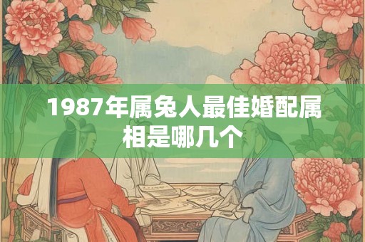1987年属兔人最佳婚配属相是哪几个