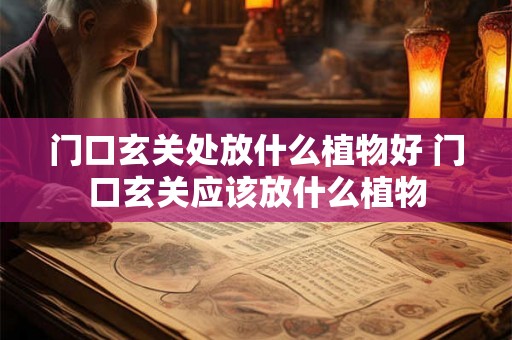 门口玄关处放什么植物好 门口玄关应该放什么植物 门口玄关处放什么植物好 门口玄关应该放什么植物