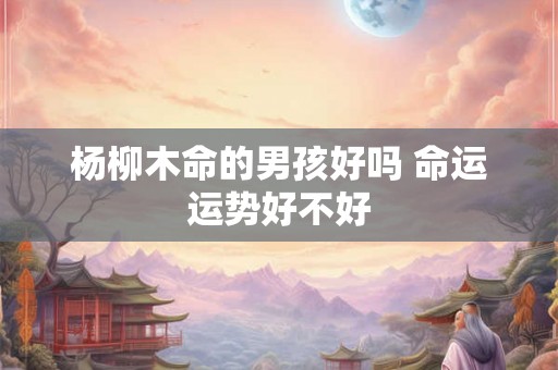 杨柳木命的男孩好吗 命运运势好不好