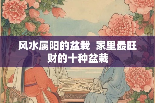 风水属阳的盆栽  家里最旺财的十种盆栽