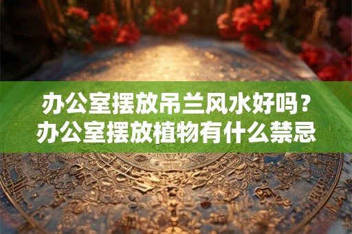 办公室摆放吊兰风水好吗？办公室摆放植物有什么禁忌？