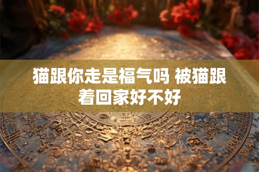 猫跟你走是福气吗 被猫跟着回家好不好