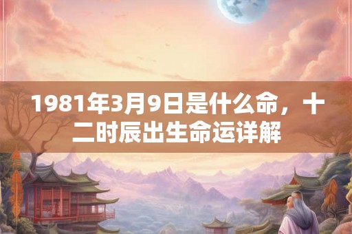 1981年3月9日是什么命，十二时辰出生命运详解