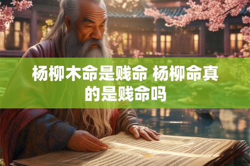 杨柳木命是贱命 杨柳命真的是贱命吗