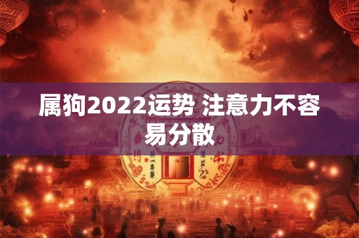 属狗2022运势 注意力不容易分散 属狗2022运势 注意力不容易分散