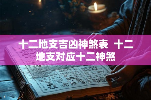 十二地支吉凶神煞表  十二地支对应十二神煞