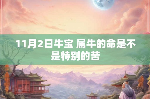 11月2日牛宝 属牛的命是不是特别的苦