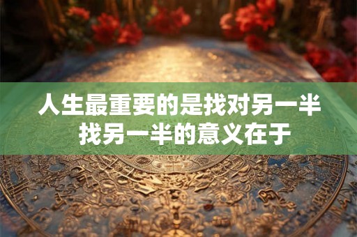 人生最重要的是找对另一半  找另一半的意义在于