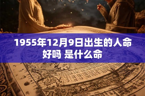 1955年12月9日出生的人命好吗 是什么命