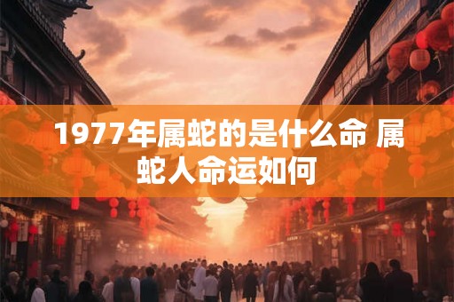 1977年属蛇的是什么命 属蛇人命运如何