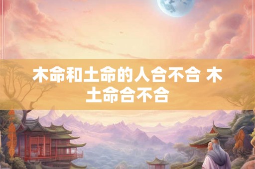 木命和土命的人合不合 木土命合不合
