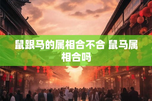 鼠跟马的属相合不合 鼠马属相合吗