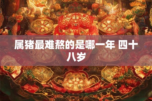 属猪最难熬的是哪一年 四十八岁