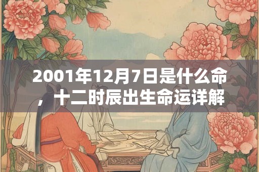2001年12月7日是什么命，十二时辰出生命运详解